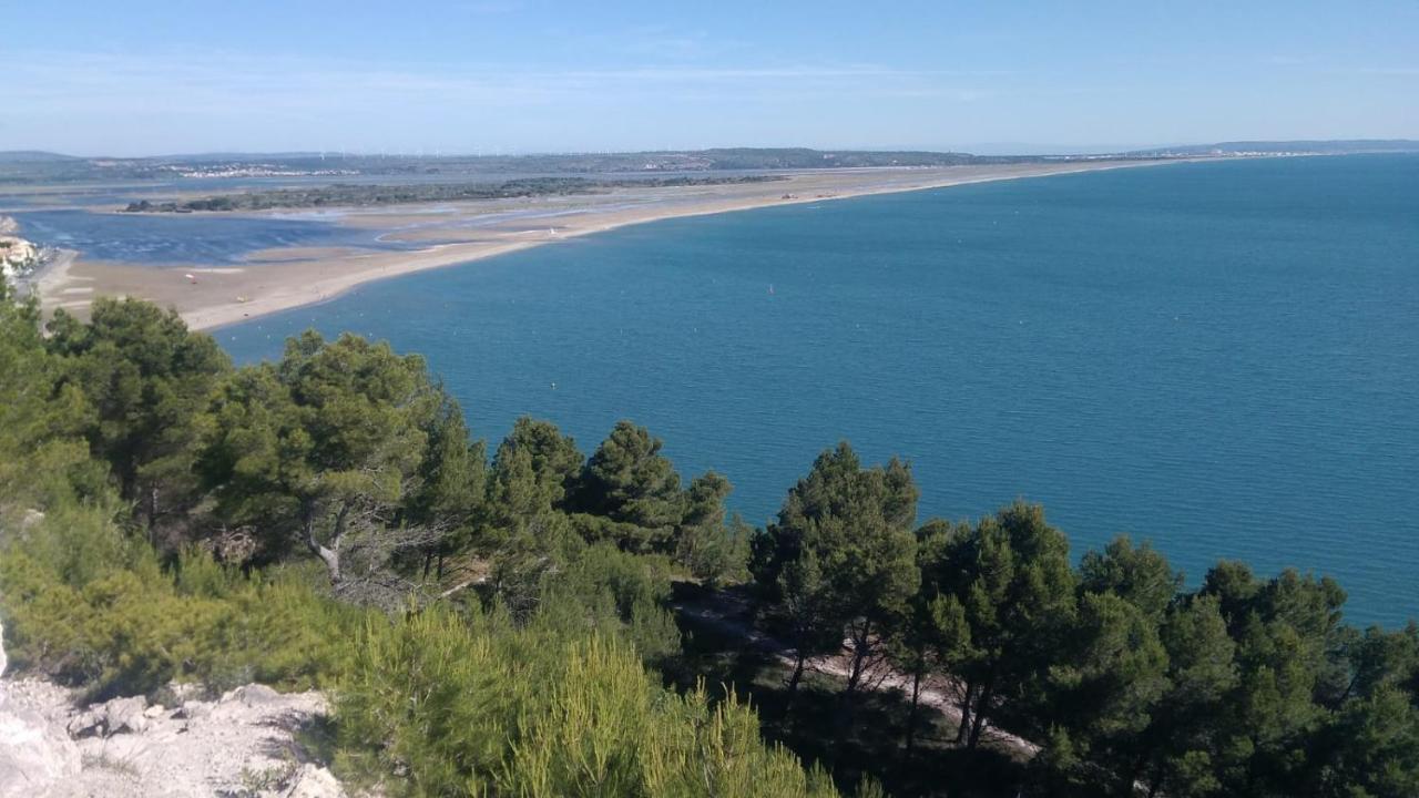 Mas De La Riviere Villa Villelongue-de-la-Salanque Exterior photo